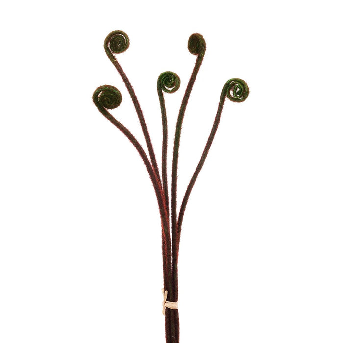 24 in Fern Bud Stem Bundle - Brown/Green