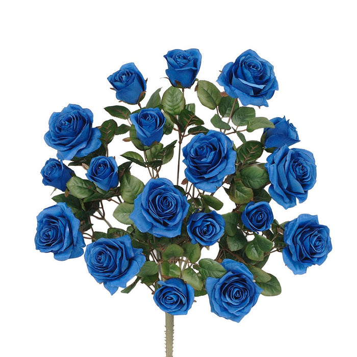 Grandiflora Rose Bush