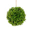6" in Pe Boxwood Orb Green
