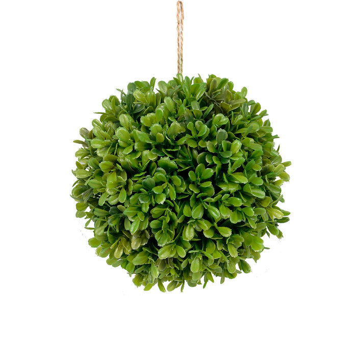 6" in Pe Boxwood Orb Green
