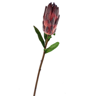 29" Mink Protea - Burgundy