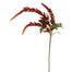 45 in Hanging Amaranthus