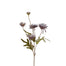 Fall Daisy - Dusty Plum