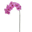 44" Orchid Phalaenopsis Spray - Lavender