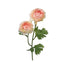 19 in Ranunculus Stem - Cream/Pink