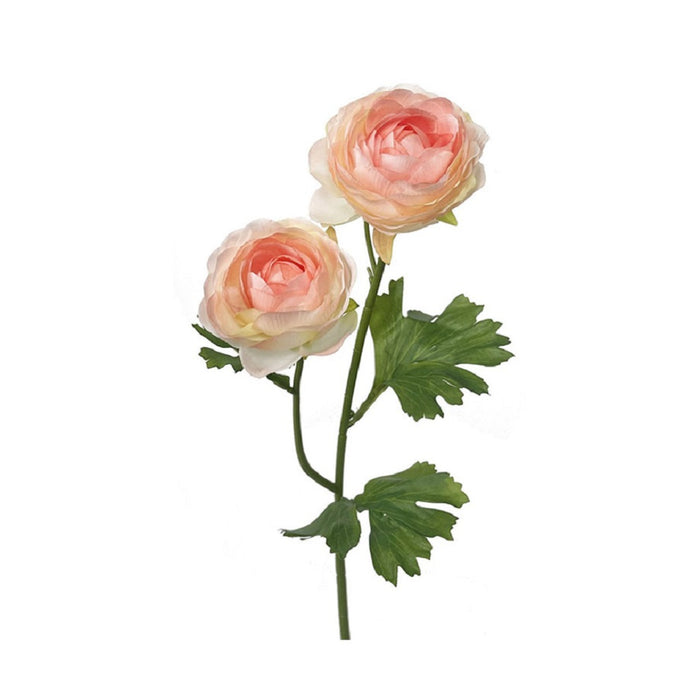 19 in Ranunculus Stem - Cream/Pink
