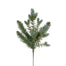 16" New Blue Spruce Spray X 9