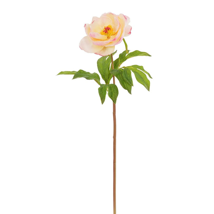 21 in Natural Touch Peony - Peach