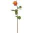 24" Rose Dutchess Bud - Peach/Red