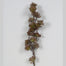 22" Succulent Spray X 18 - Burgundy/Green