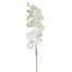 34 in Phalaenopsis Spray - White