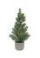 19 in Pine Tree w/Cement Pot - Green