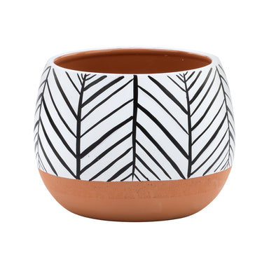 4.5" Zebra/Terra Planter