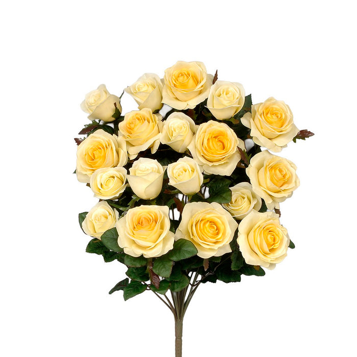 Grandiflora Rose Bush