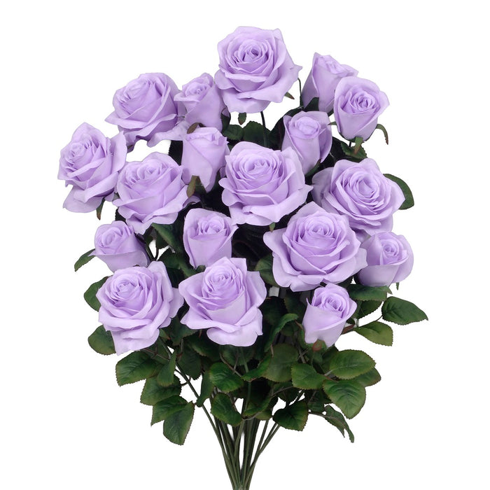 Grandiflora Rose Bush