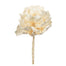 8 in Bleached Queen Flower Stem