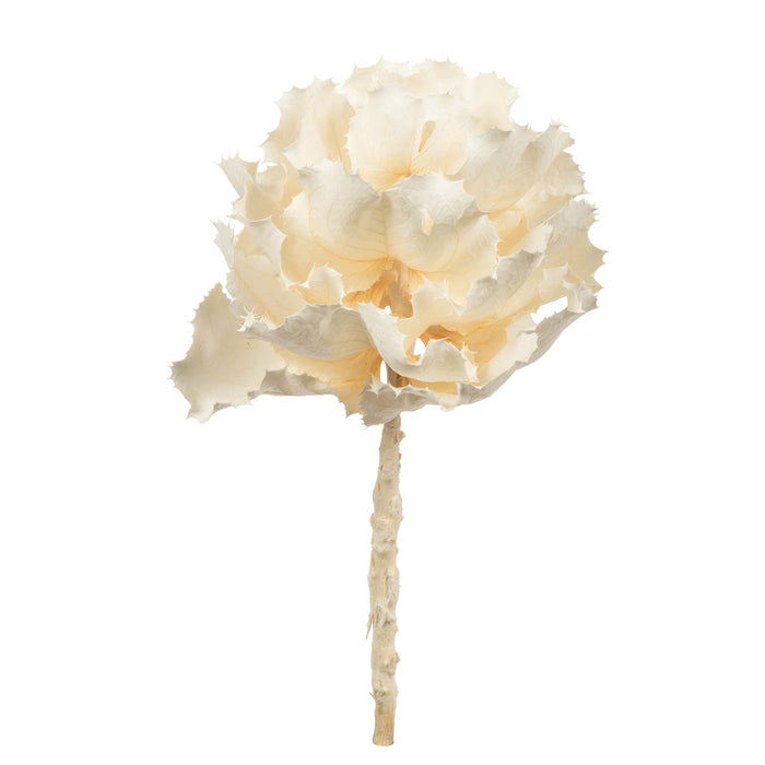 8 in Bleached Queen Flower Stem