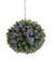 6" Hops w/Leaves Ball - Green/Purple