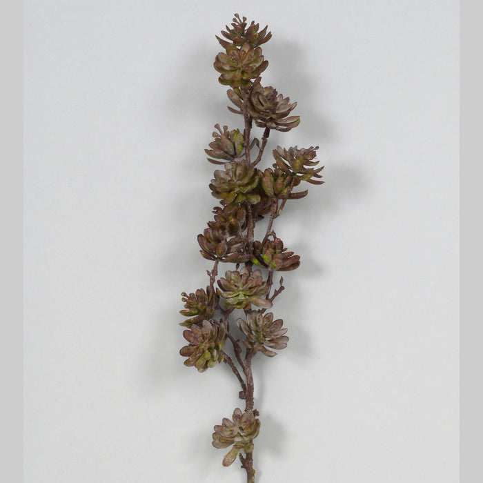 22" Succulent Spray X 18 - Burgundy/Green