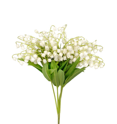 Lily of the Valley