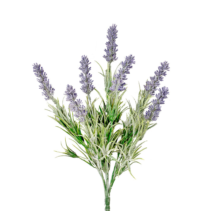 13" in Pe Sm Lavender Bush x7 Lavender