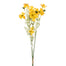 20" Cosmos Bundle - Yellow