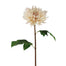 19.5" Dahlia Stem - Brush