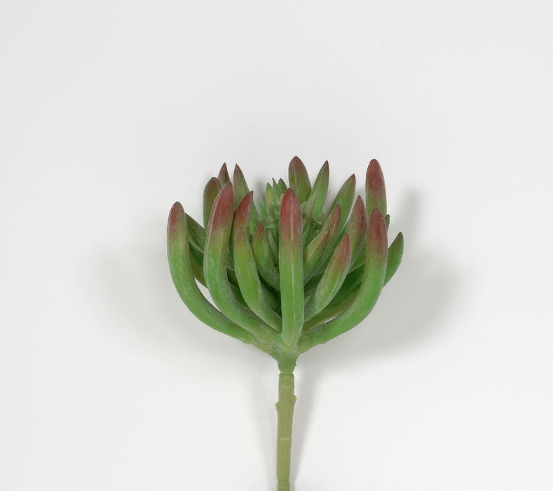 4 in Succulent Pick - Green