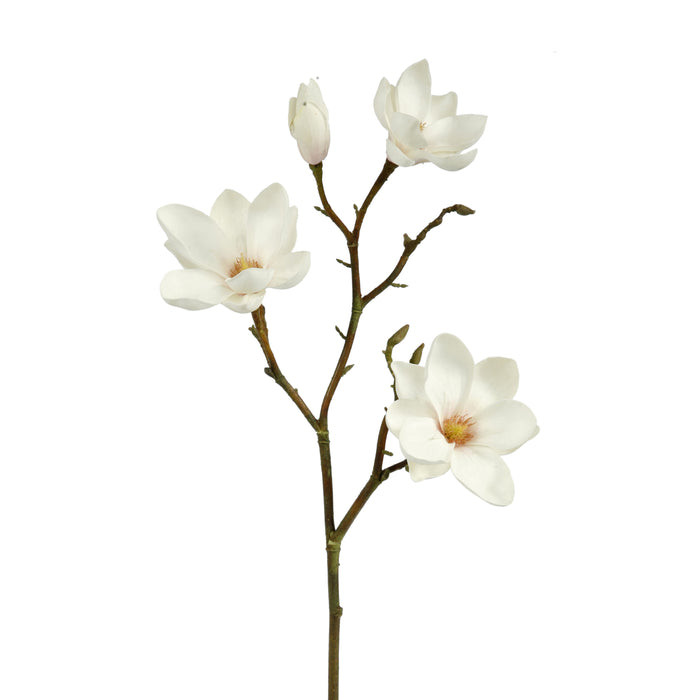 32" Magnolia Spray - Champagne