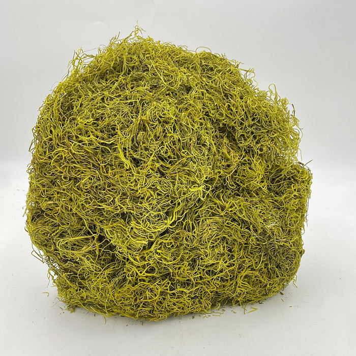 Spanish Moss - Chartreuse