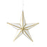 Borealis Glitter Star Ornament - White/Gold