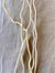 Corkscrew Willow - Bleached