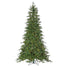 7.5' Nordmann Fir Tree - Green