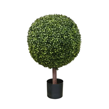 33" Boxwood Ball Topiary - Green