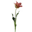 23" Tulip Parrot - Mauve/Green