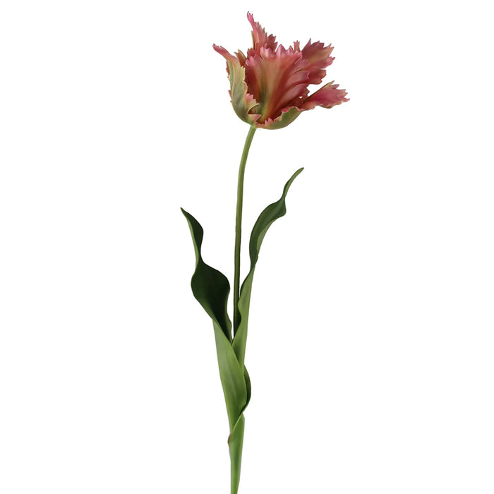 23" Tulip Parrot - Mauve/Green