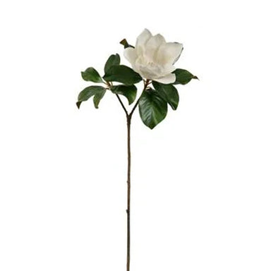 24" Magnolia - Two-Tone White