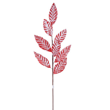 Leaf Spray - Red/White