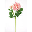 22 in Dahlia Spray