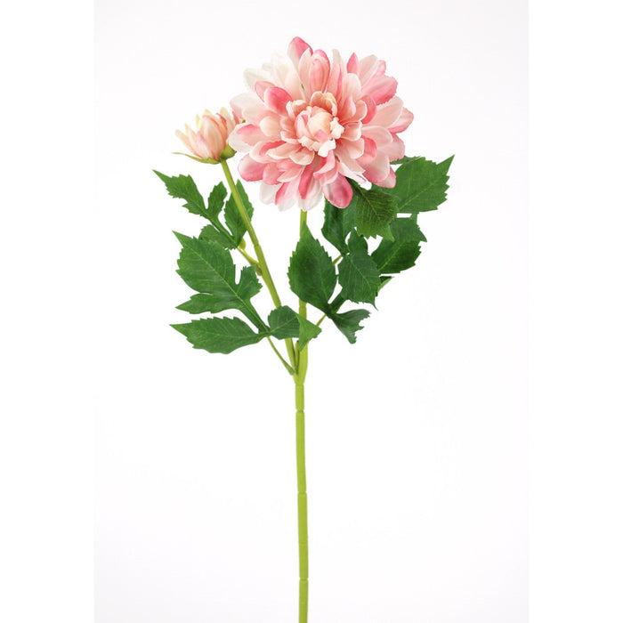 22 in Dahlia Spray