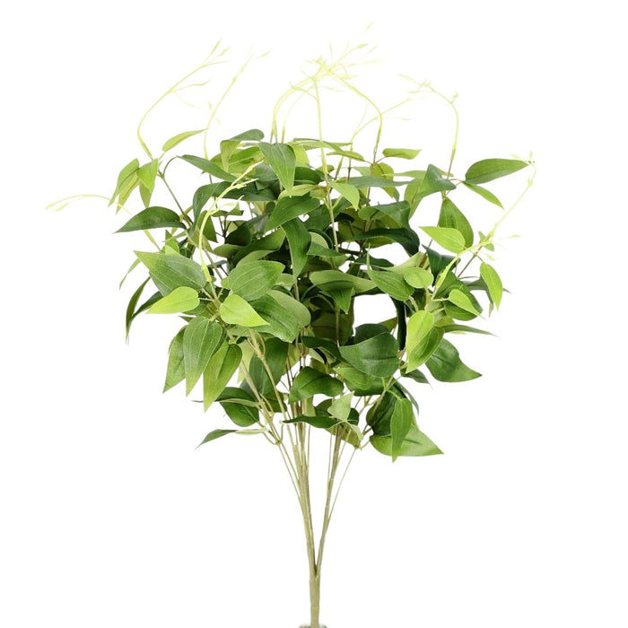23 in Jasmine Bush - Green