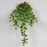 Holly Berry Hanging Bush