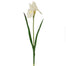 28" Iris w/Leaves - Cream