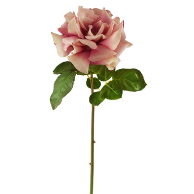 20" Dutchess Rose Open Short Stem - Dark Mauve