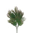 15 in Fern Bush