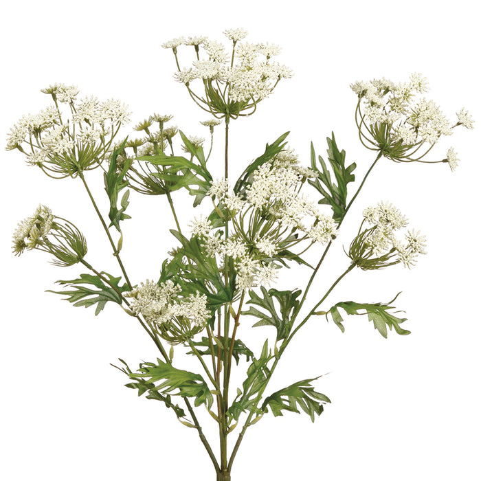 21.5" In Queen Anne's Lace Bush