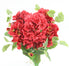 Geranium Flower Bush - Red