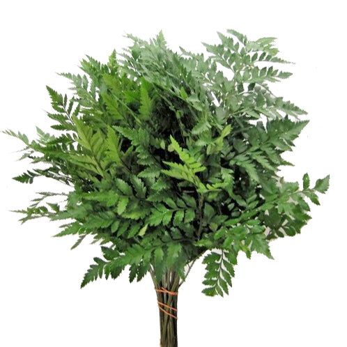 Greens Bouquet Ferntrust