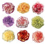 Carnation