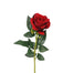 30 in Velvet Rose